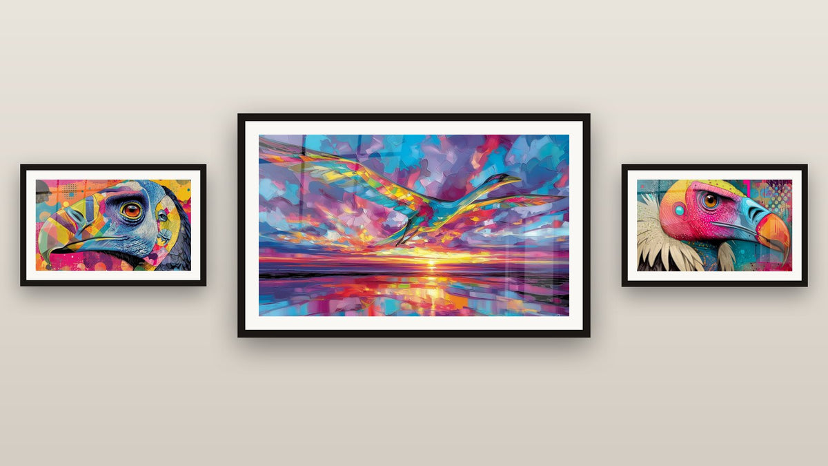 Mur de galerie avec trois tableaux encadrés : Vautour Coloré, Oiseau Volant Multicolore et Argentavis Multicolore