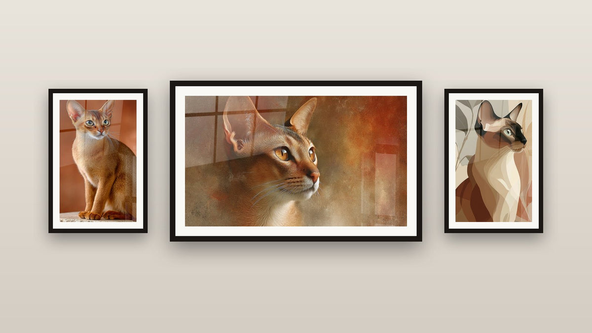Mur de galerie avec trois tableaux encadrés : Chat Singapura Portrait Doré, Chat Singapura Abstrait et Chat Singapura Assis