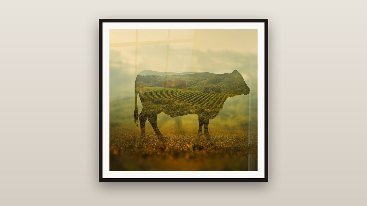 Quadro incorniciato su una parete: Vache a doppia esposizione