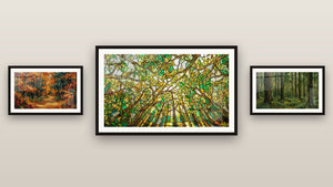 Mur de galerie avec trois tableaux encadrés : Forêt Vitrail, Forêt d'Automne et Forêt de Conifères
