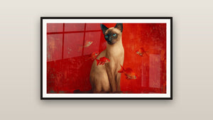 Cuadro enmarcado en una pared: Gato Tonkinés y Peces Rojos
