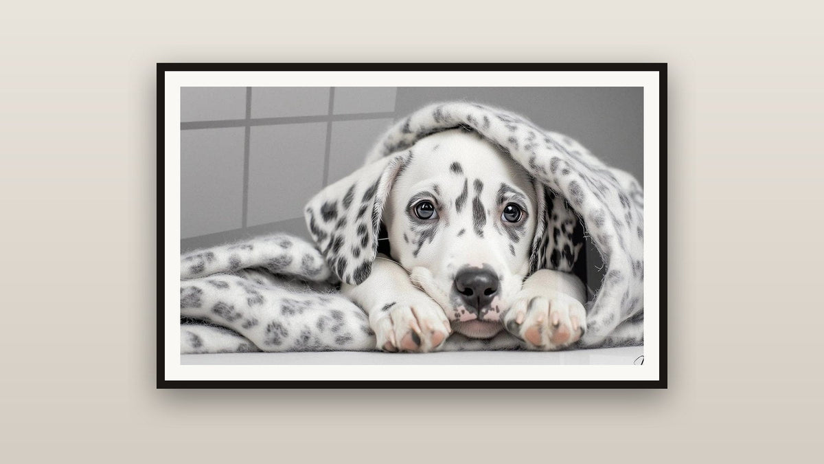 Tableau encadré sur un mur : Dalmatien N°2