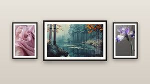 Pared de galería con tres cuadros enmarcados, entre ellos Refugio Primordial y Tulipán N°2