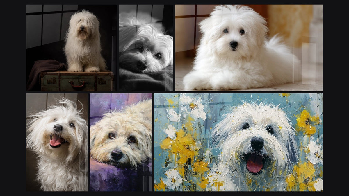 Mosaic of six paintings, including Dog with Tender Eyes in Black and White and Small White Dog with Tender Eyes