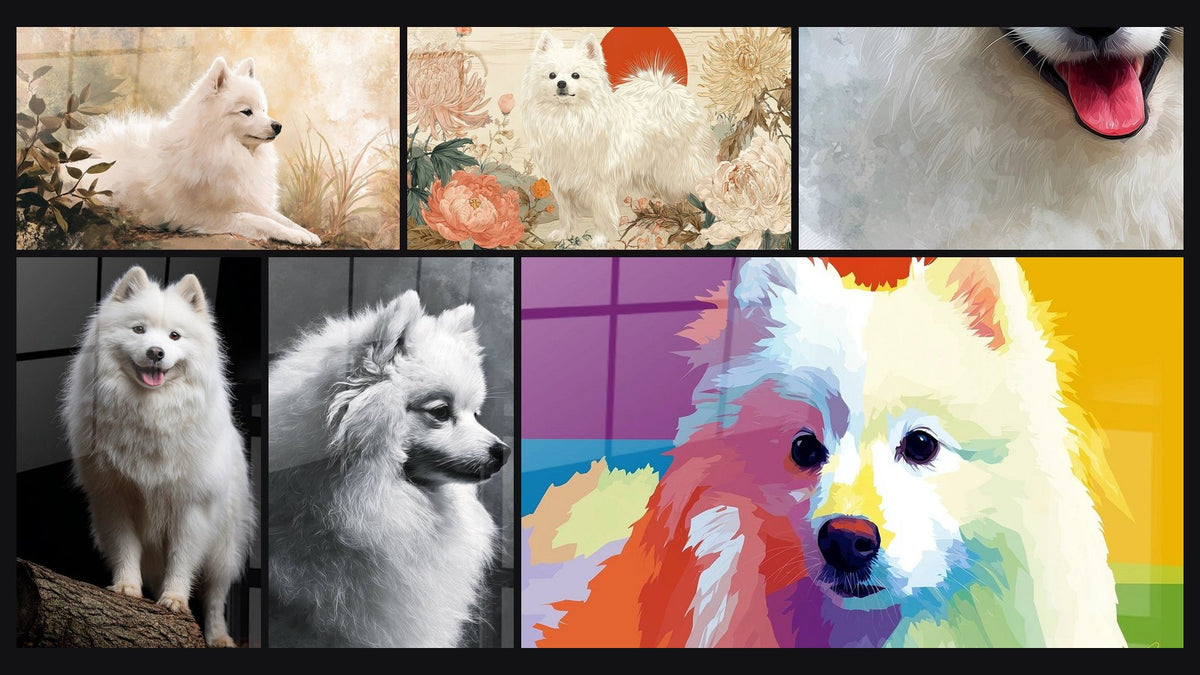 Mosaïque de six tableaux, dont Portrait Noir et Blanc au Regard Noble et Chien Blanc aux Couleurs Arc-en-Ciel