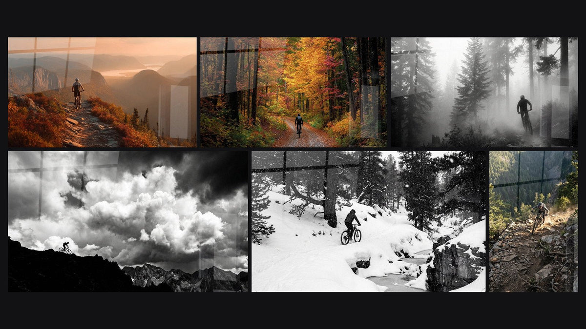 Mosaïque de six tableaux, dont VTT Randonnée Automne Panorama, VTT Forêt d'Automne et VTT Forêt Brumeuse