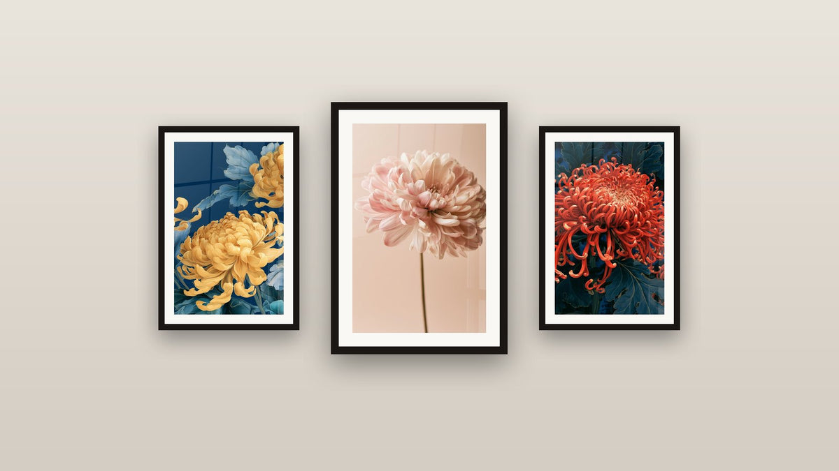 Mur de galerie avec trois tableaux encadrés, dont Chrysanthème rose et blanc sur fond beige