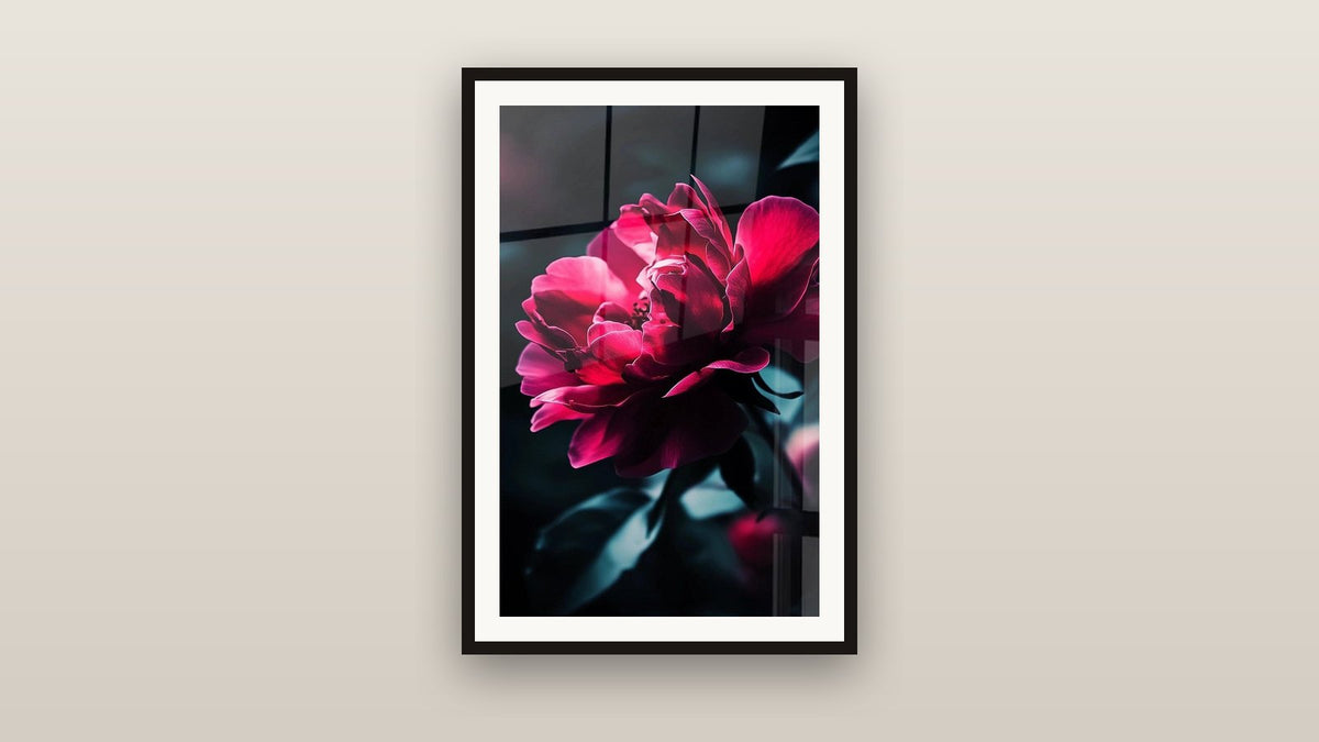Tableau encadré sur un mur : Pivoine N°3