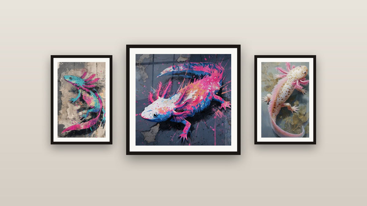 Mur de galerie avec trois tableaux encadrés, dont Axolotl Turquoise et Rose sur Fond Urbain