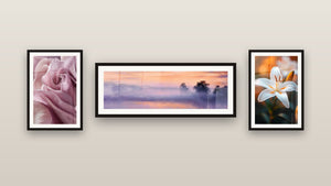 Mur de galerie avec trois tableaux encadrés : Paysage brumeux au coucher de soleil, Tulipe N°2 et Lys N°2