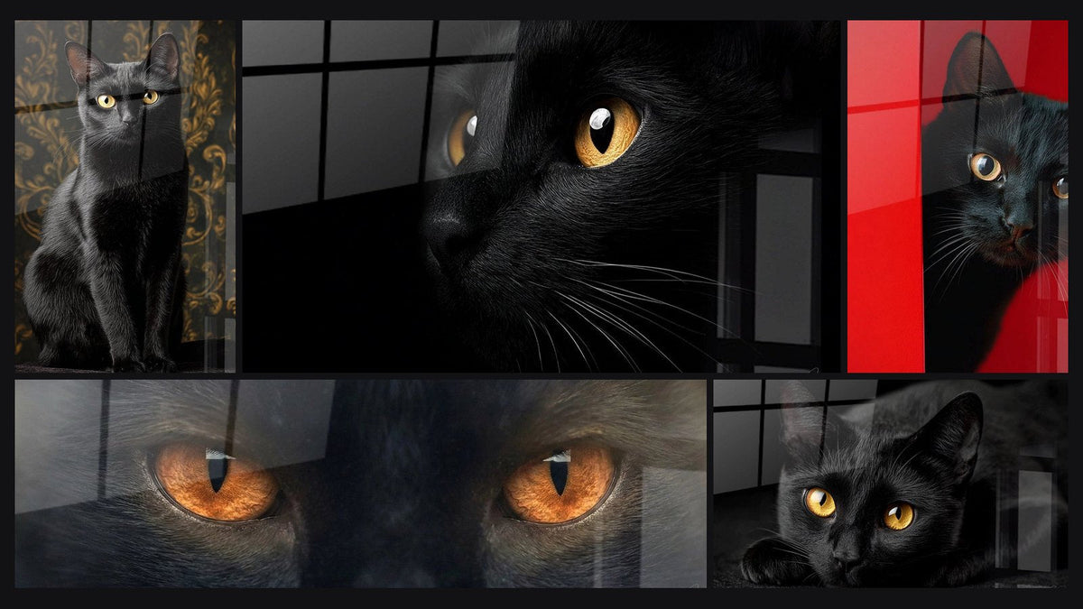 Mosaic of five paintings, including Elegant Bombay Cat, Hypnotic Gaze Bombay Cat and Black Cat with Amber Eyes