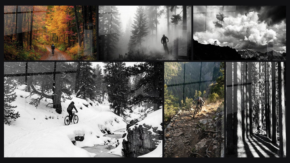 Mosaico di sei quadri, tra cui Mountain Bike Foresta d'Autunno, Mountain Bike Foresta Nebbiosa e MTB Montagne