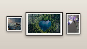 Gallery wall with three framed paintings, including Ocean Rocks and Iris Wall Art No. 9