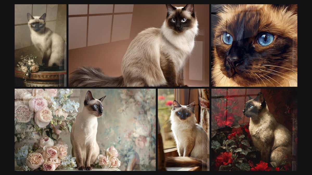 Mosaico di sei quadri, tra cui Chat Balinese Ritratto Aristocratico, Chat Balinese maestoso e Chat Balinese con Rose