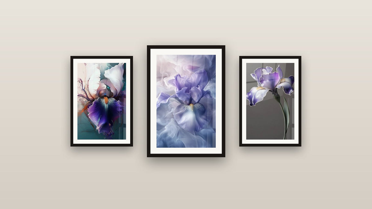 Mur de galerie avec trois tableaux encadrés : Iris N°2, Iris N°9 et Iris N°7
