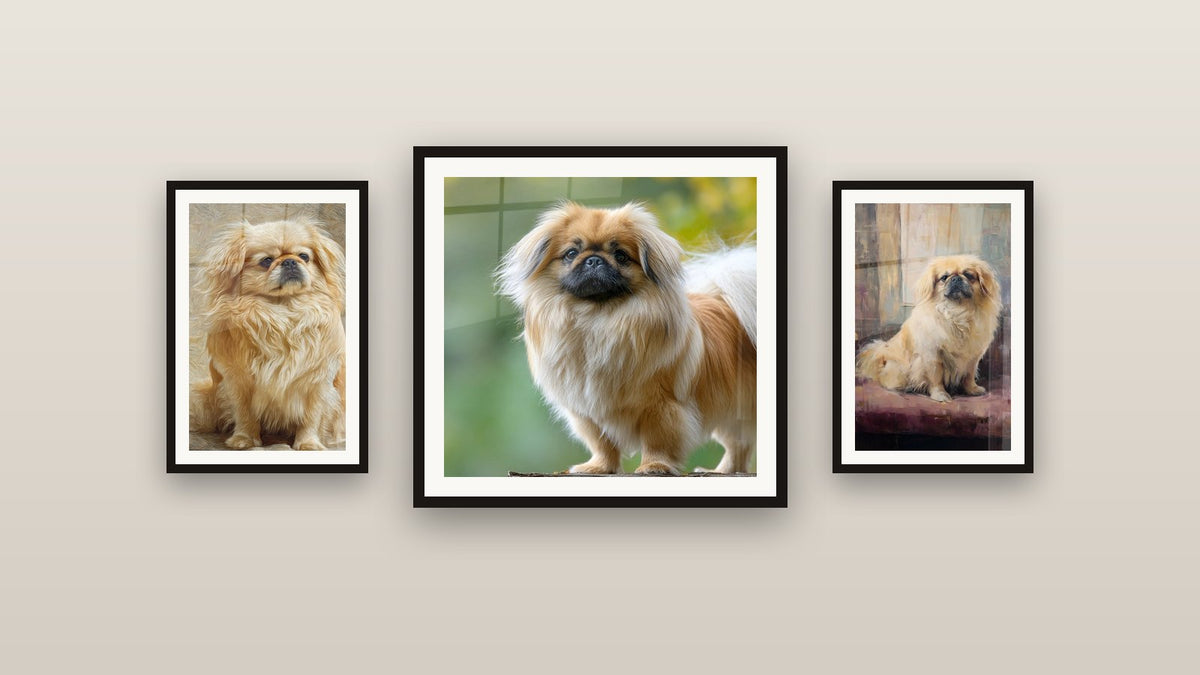 Mur de galerie avec trois tableaux encadrés, dont Chien aux Poils Dorés Effet Pinceau