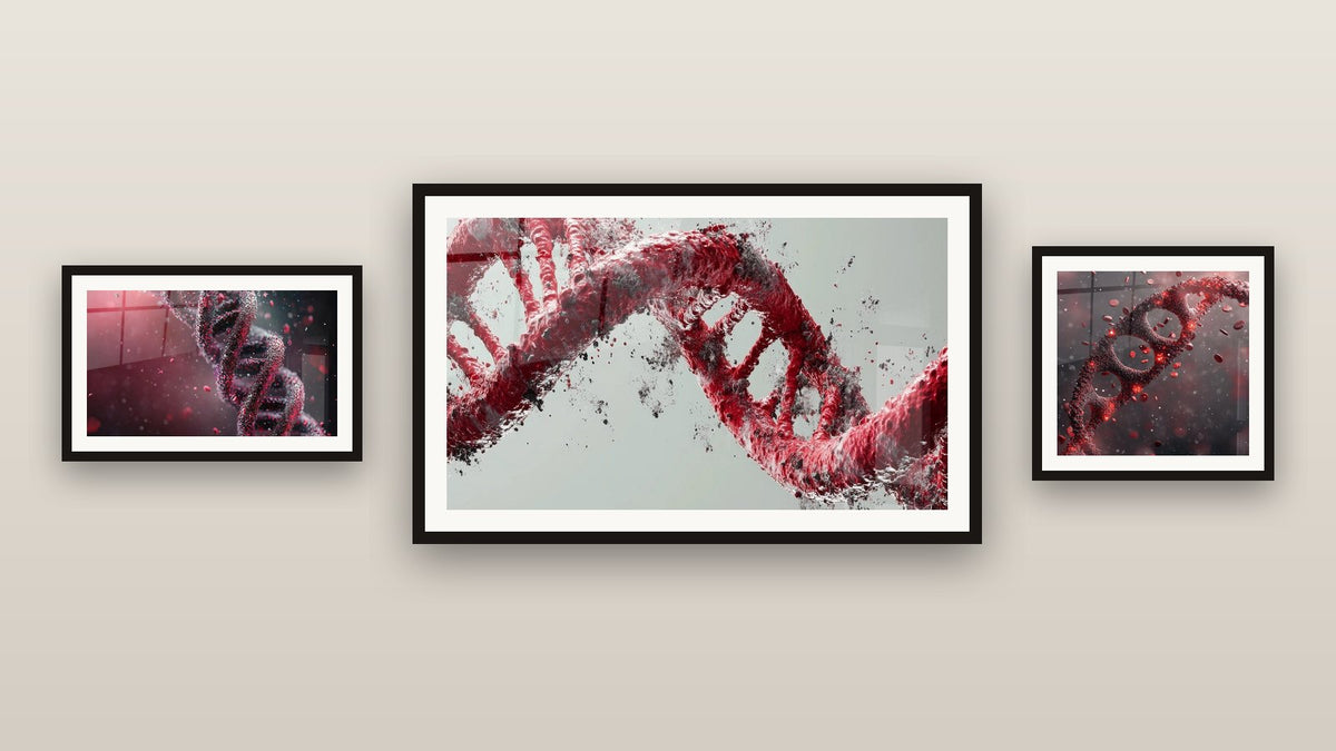 Mur de galerie avec trois tableaux encadrés, dont Hélice ADN rouge et Hélice ADN double brin