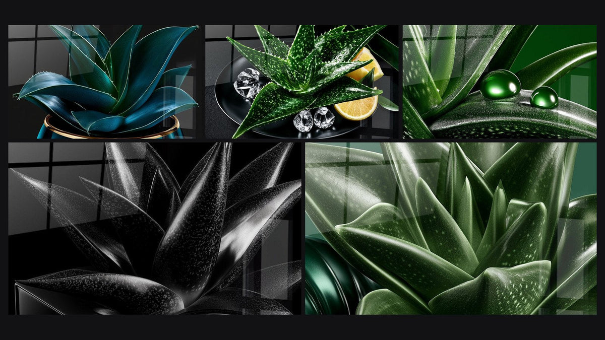Mosaik aus fünf Gemälden, darunter Aloe Vera blau und golden in Topf und Aloe Vera grün und schwarz auf Teller