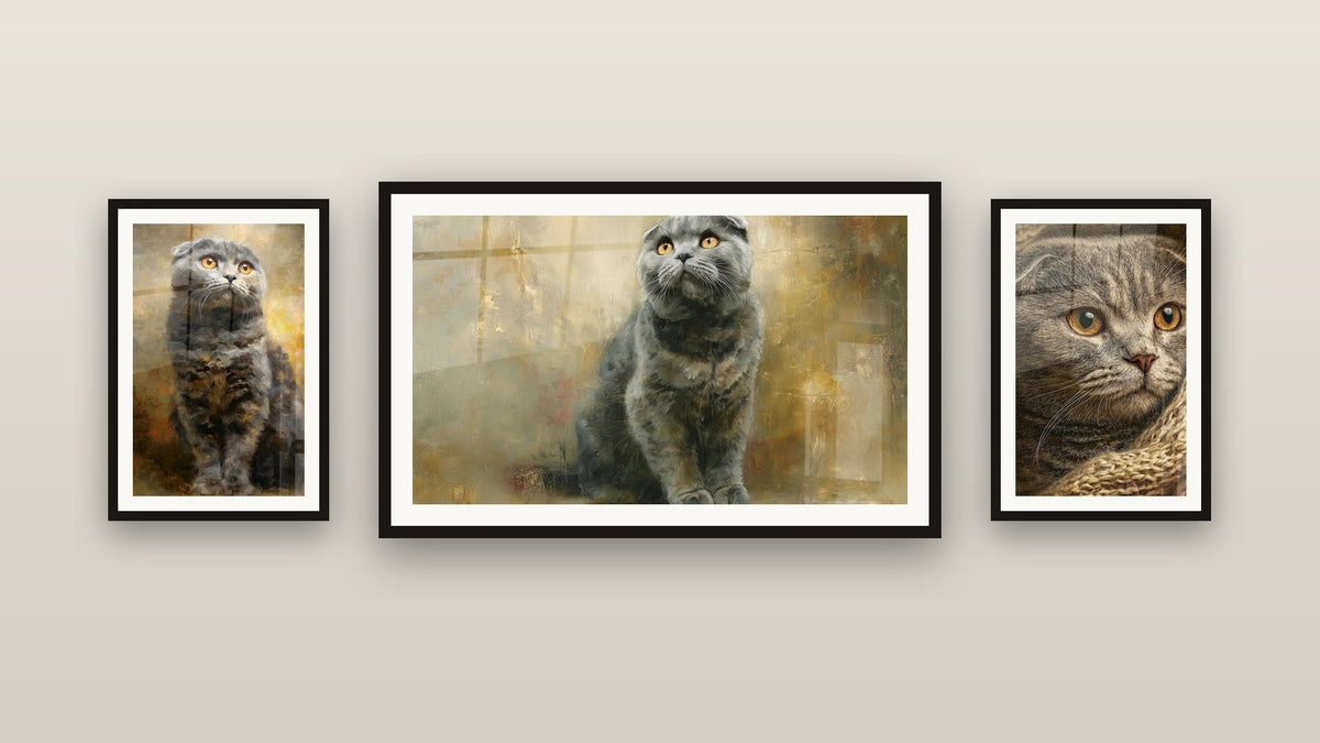 Mur de galerie avec trois tableaux encadrés, dont Chat Scottish Fold Assis et Chat Scottish Fold Regard Doré