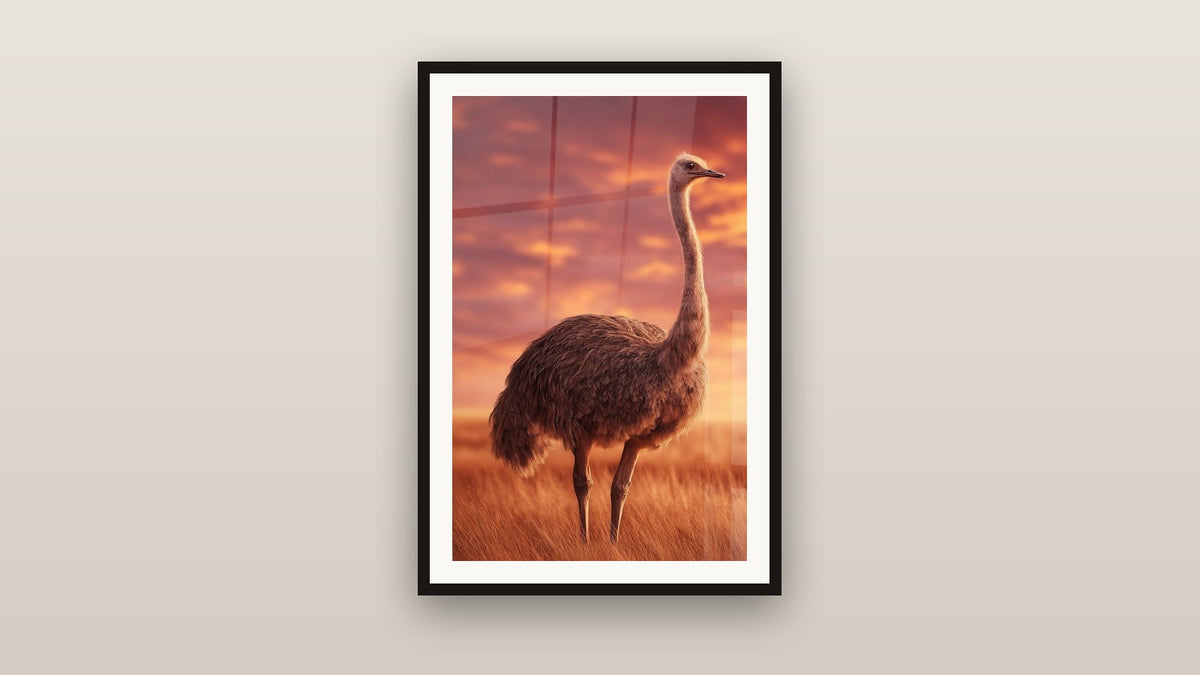 Framed painting on a wall