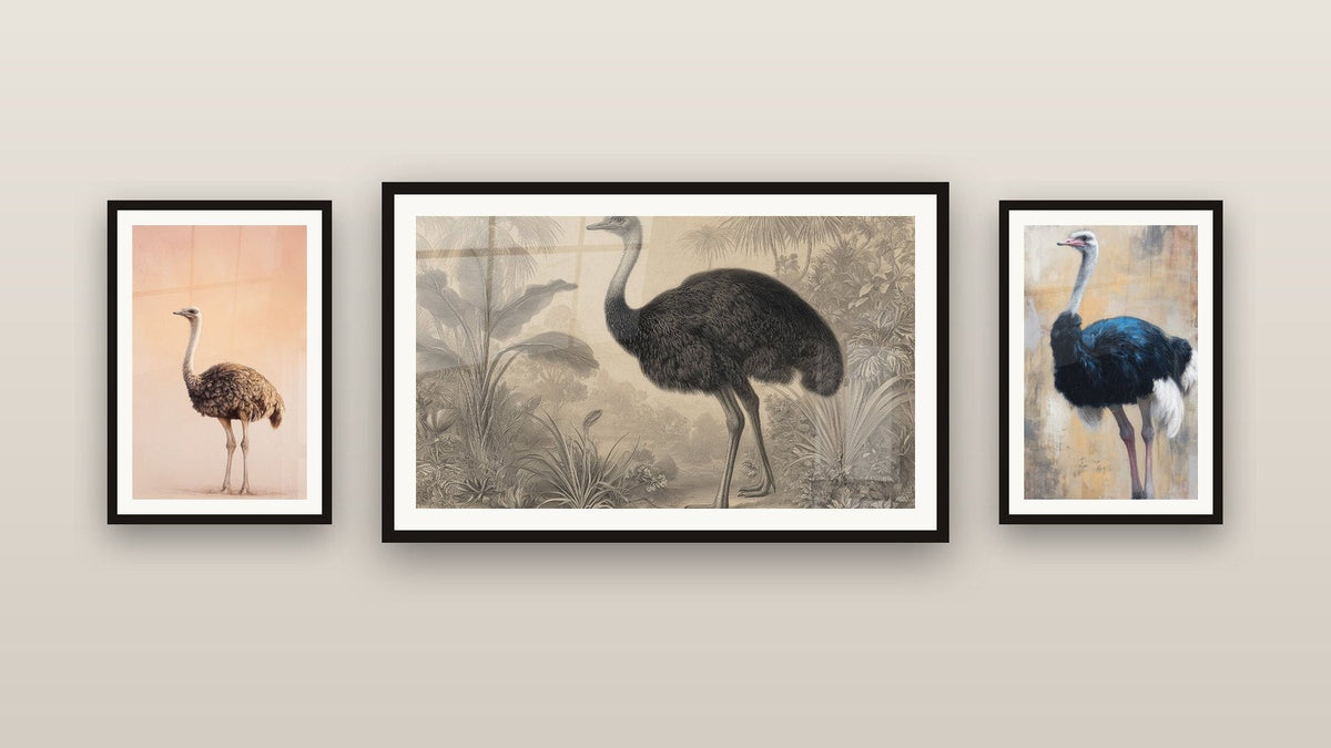 Mur de galerie avec trois tableaux encadrés, dont Autruche Majesté Beige Ocre