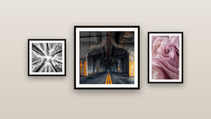 Pared de galería con tres cuadros enmarcados: Puente Urbano Moderno, Bosque Vista Panorámica y Tulipán N°2