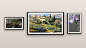 Pared de galería con tres cuadros enmarcados, entre ellos Pueblo provenzal y Estanque con Peonías de Bosque