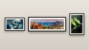 Pared de galería con tres cuadros enmarcados: Costa mediterránea, Danza de los Koi y Loro N°2
