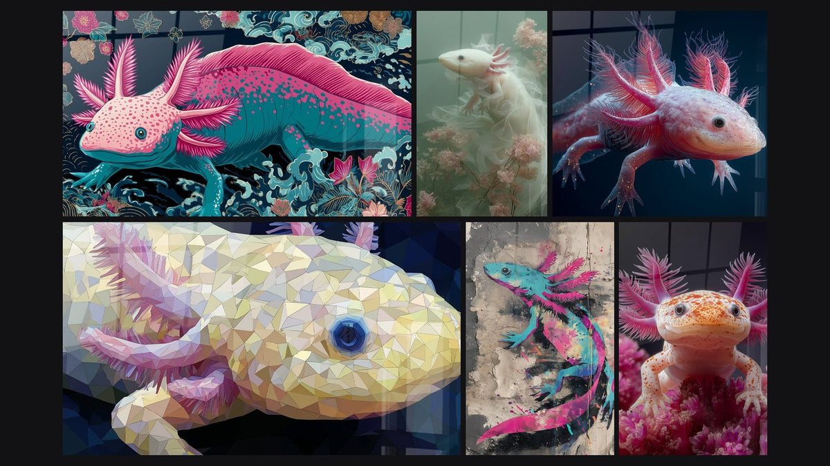 Mosaïque de six tableaux, dont Axolotl Turquoise et Rose sur Fond Urbain