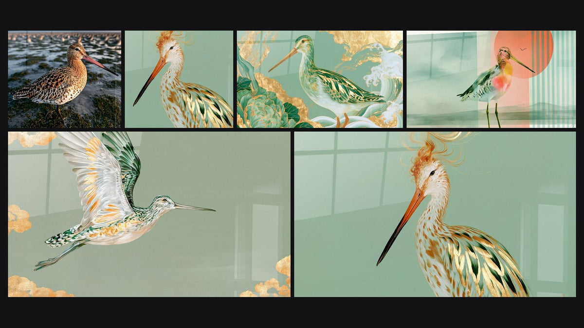 Mosaïque de six tableaux, dont Bécasse au long bec sur estran et Bécasse au long bec doré et vert sauge