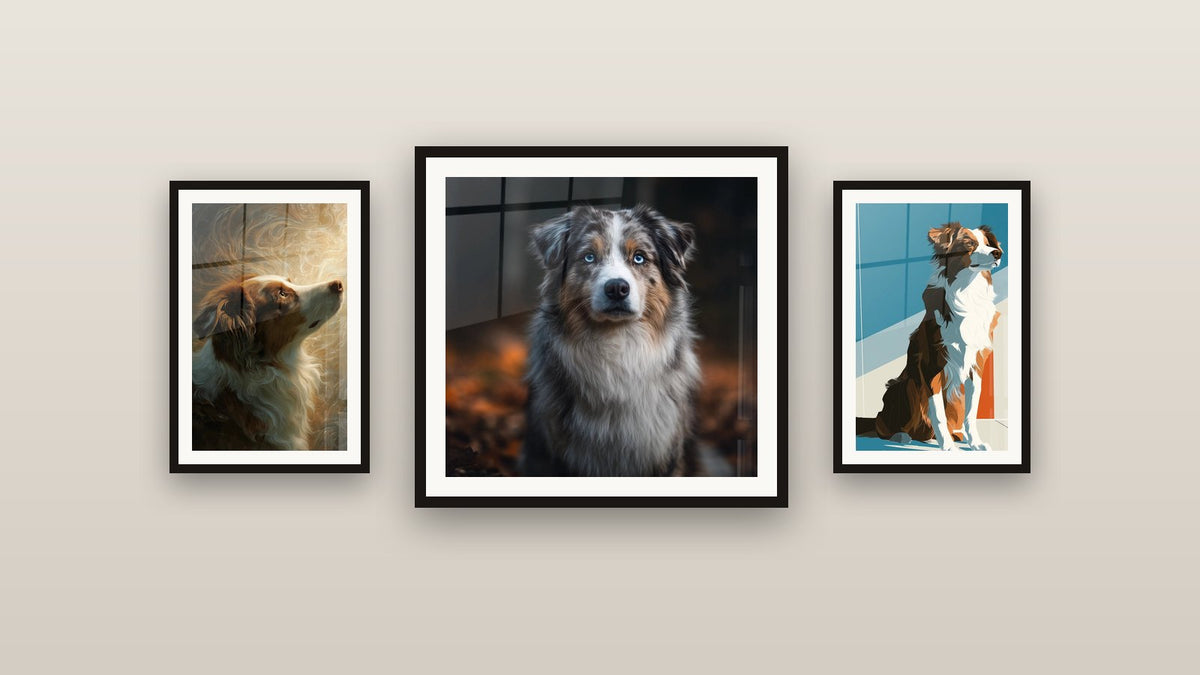 Mur de galerie avec trois tableaux encadrés, dont Berger Australien aux Yeux Bleus Perçants