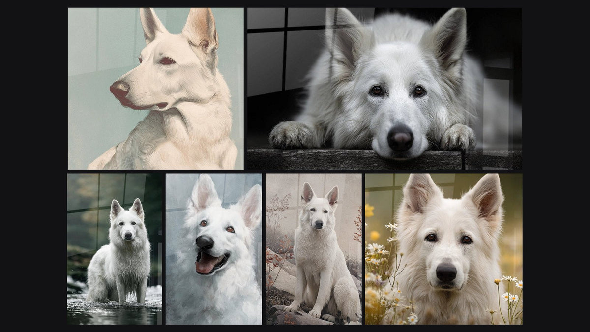 Mosaïque de six tableaux, dont Berger Blanc Suisse au Regard Mélancolique et Berger Blanc Assis au Bord de l'Eau