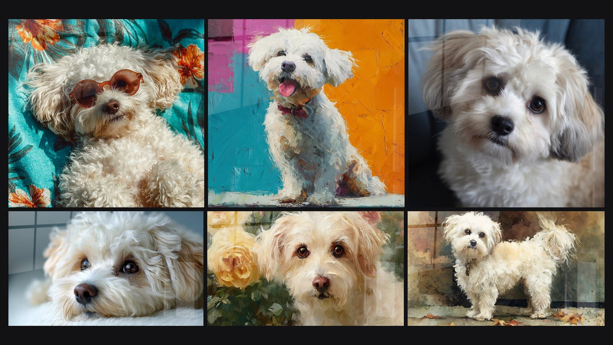 Mosaico di sei quadri, tra cui Cane Bianco su Sfondo Colorato e Ritratto Tenero nei Toni Crema e Beige