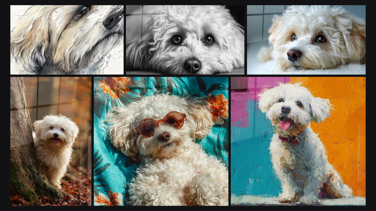Mosaic of six paintings, including Havanese Dog with Tender Eyes Lying Down