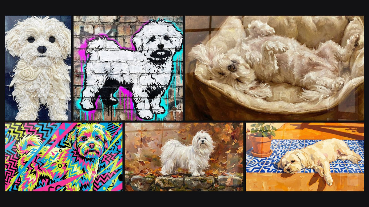 Mosaico di sei quadri, tra cui Bichon Maltese Graffiti con Drips Colorati e Bichon Maltese Addormentato nel Suo Cesto