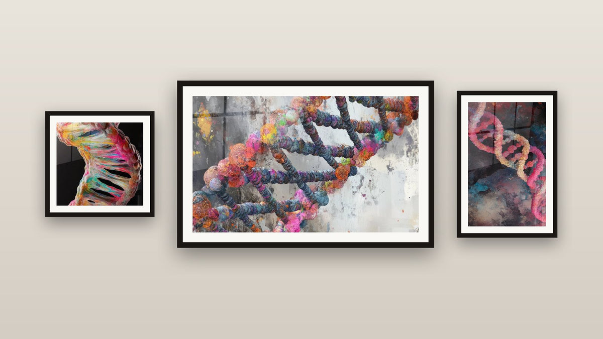 Mur de galerie avec trois tableaux encadrés : ADN coloré, Hélice ADN Colorée et Hélice ADN abstraite