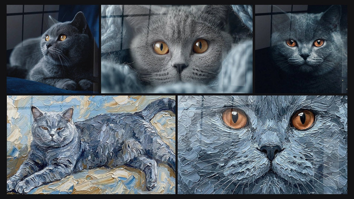 Mosaïque de cinq tableaux, dont Chat British Shorthair couché et Chat British Shorthair Gris