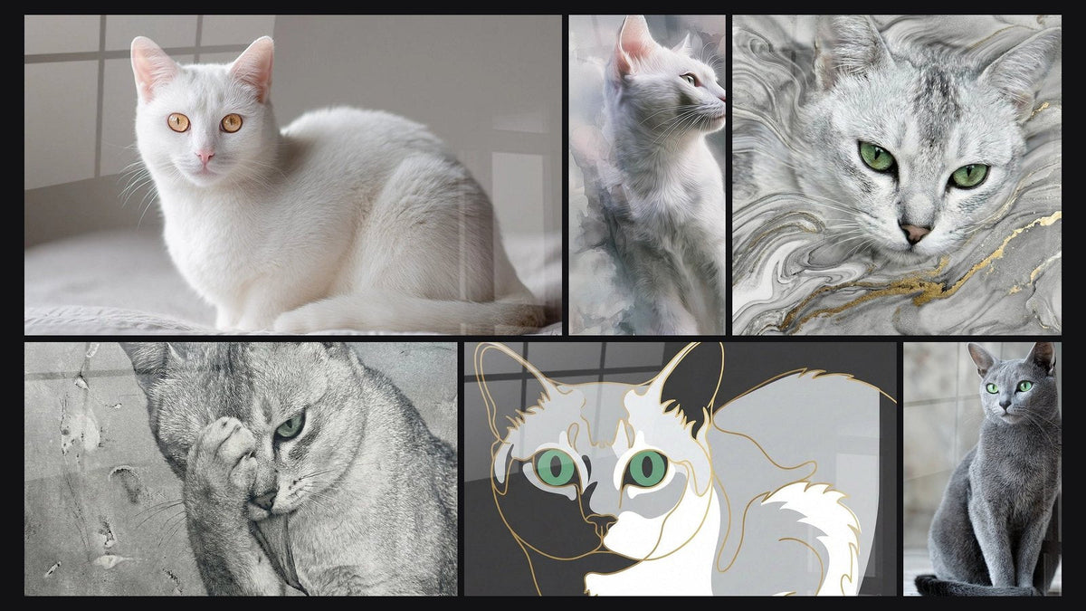 Mosaïque de six tableaux, dont Chat Burmilla Blanc aux Yeux Dorés et Chat Burmilla Yeux Verts