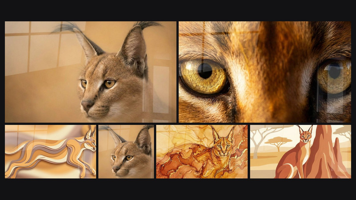 Mosaïque de six tableaux, dont Portrait de Caracal aux Tons Dorés et Yeux Ambrés et Fourrure Fauve en Gros Plan