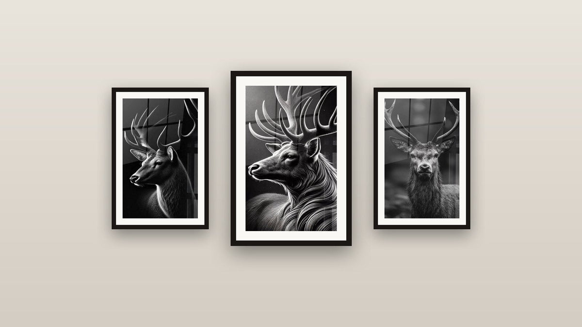 Mur de galerie avec trois tableaux encadrés : Cerf Majestueux, Le Cerf Monarque et Roi de l'Ombre