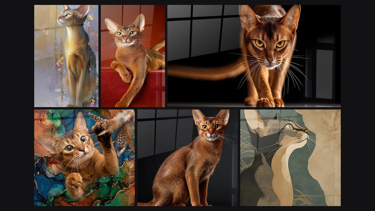 Mosaïque de six tableaux, dont Chat Abyssin Majestueux, Chat Abyssin sur Escalier Rouge et Chat Abyssin Playful