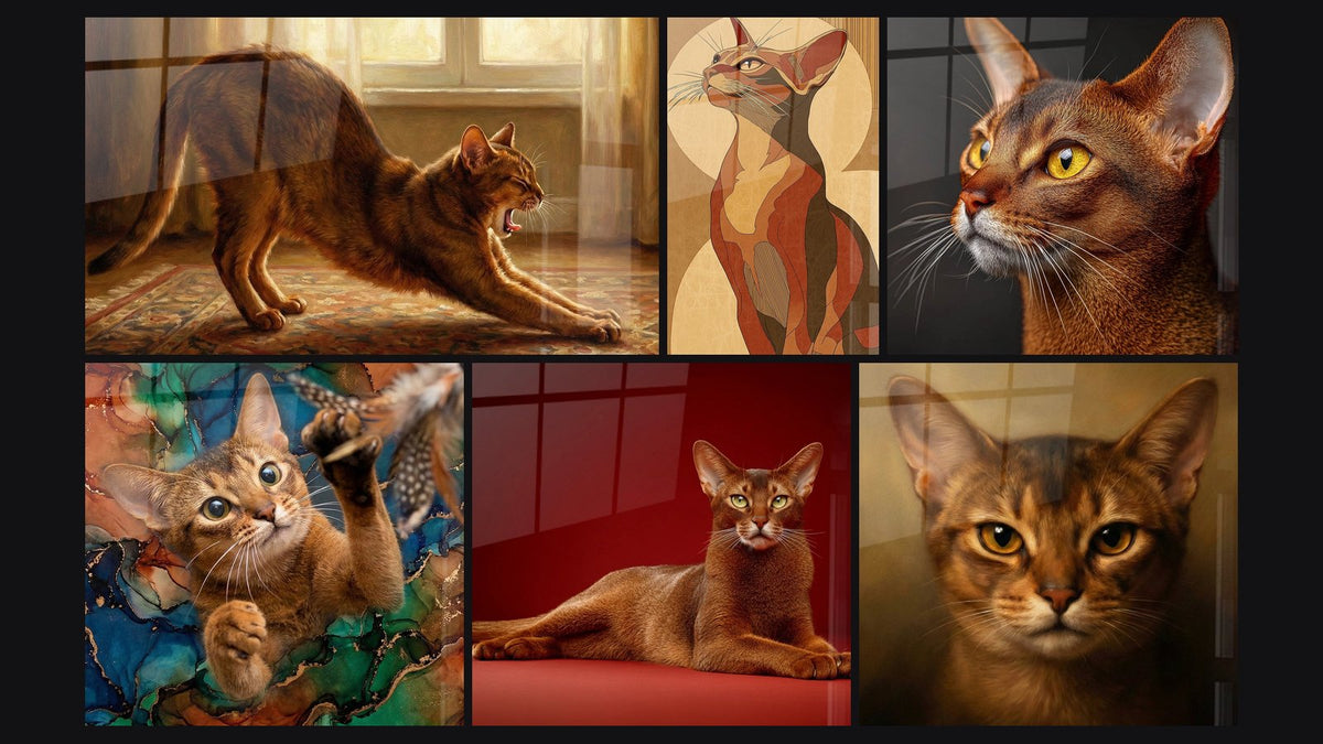 Mosaïque de six tableaux, dont Chat Abyssin qui s'étire, Chat Abyssin Art Déco et Chat Abyssin Playful