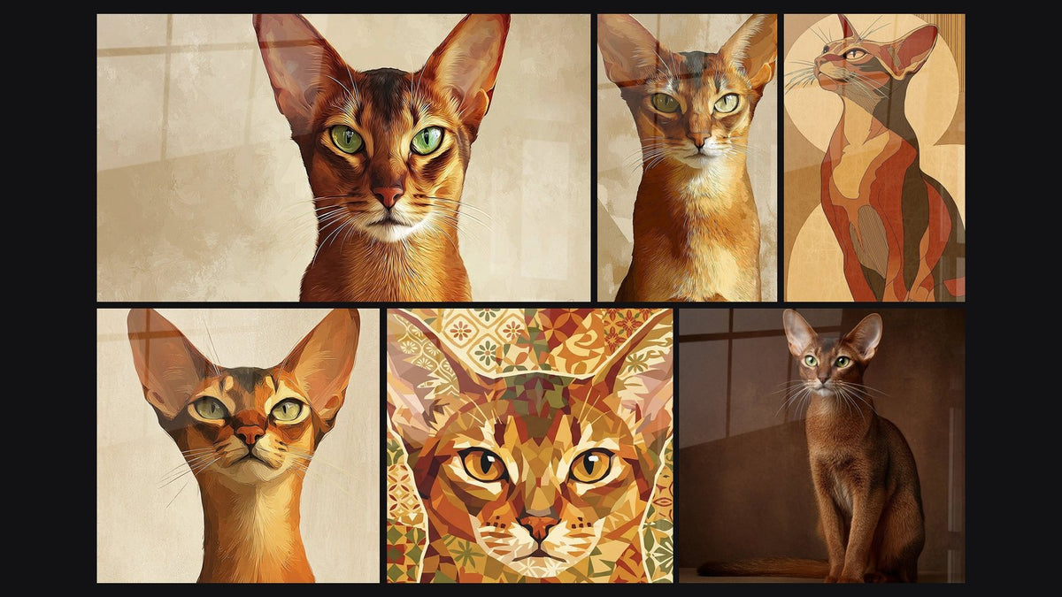 Mosaïque de six tableaux, dont Chat Abyssin Portrait, Chat Abyssin Artistique et Chat Abyssin Portrait Artistique