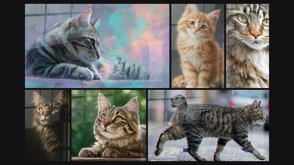 Mosaïque de six tableaux, dont Chat American Bobtail Contemplatif et Chat American Bobtail Portrait
