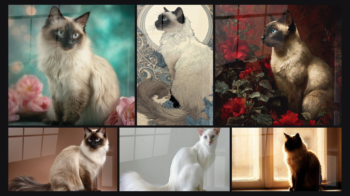 Mosaïque de six tableaux, dont Chat Balinais aux Yeux Bleus, Chat Balinais majestueux et Chat Balinais Blanc
