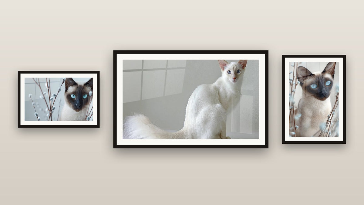 Galerijwand met drie ingelijste schilderijen, waaronder Bali Kat Wit en Tafereel Balinese Kat Wilgenkatjes