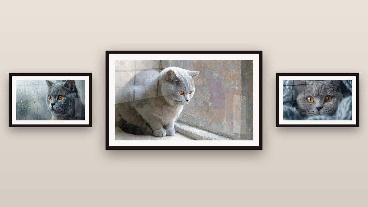 Galeriewand mit drei gerahmten Gemälden, darunter Britisch Blaukatze Grau und British Shorthair Katze am Fenster