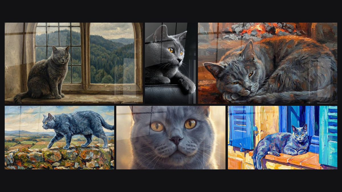 Mosaïque de six tableaux, dont Chat à la Fenêtre, Chat Chartreux aux Yeux Dorés et Chat Chartreux sur Muret de Pierre