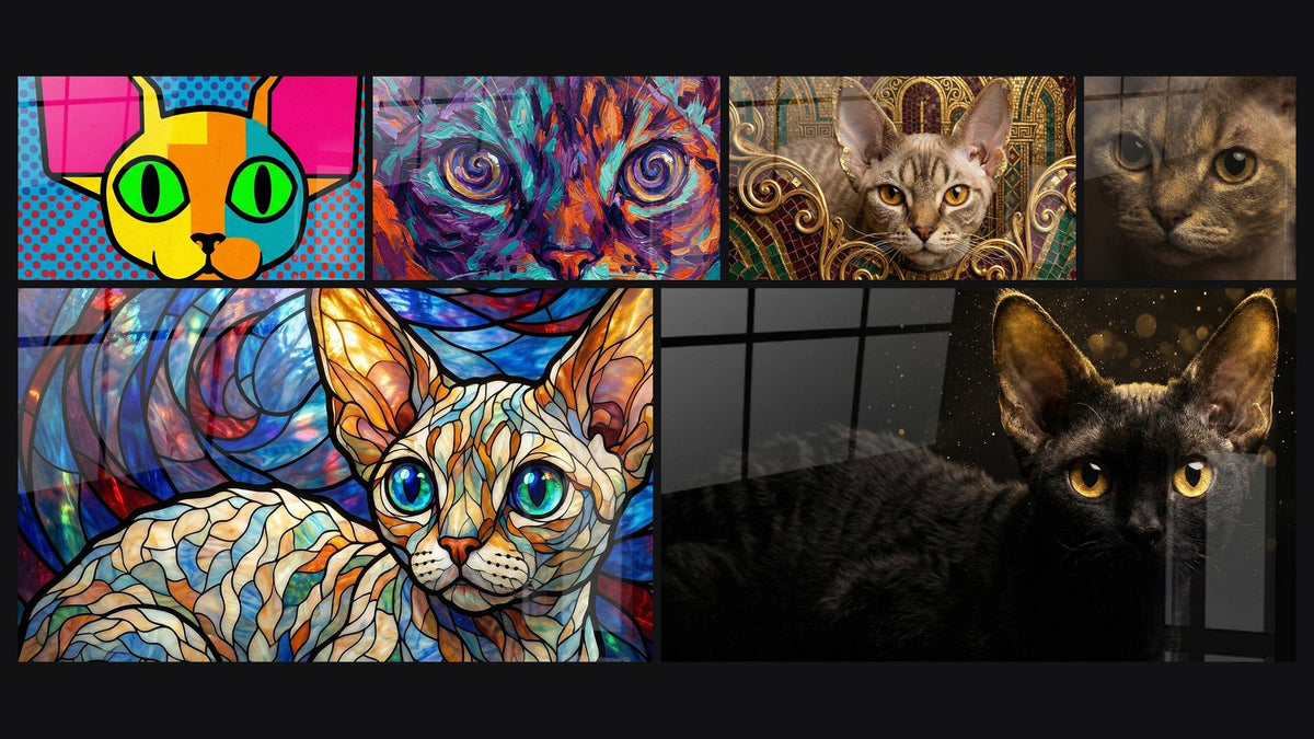 Μωσαϊκό από έξι πίνακες, ανάμεσά τους Γάτας Pop Art Ροζ και Κίτρινος Ζωντανός και Γάτας με μοβ μάτια, κυανές σπείρες