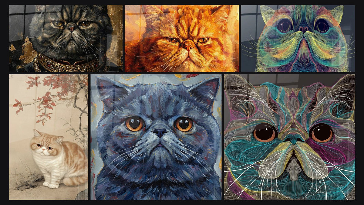 Mosaico de seis cuadros, entre ellos Gato Exótico Pelo Corto Real y Gato Persa Exotic Shorthair Retrato